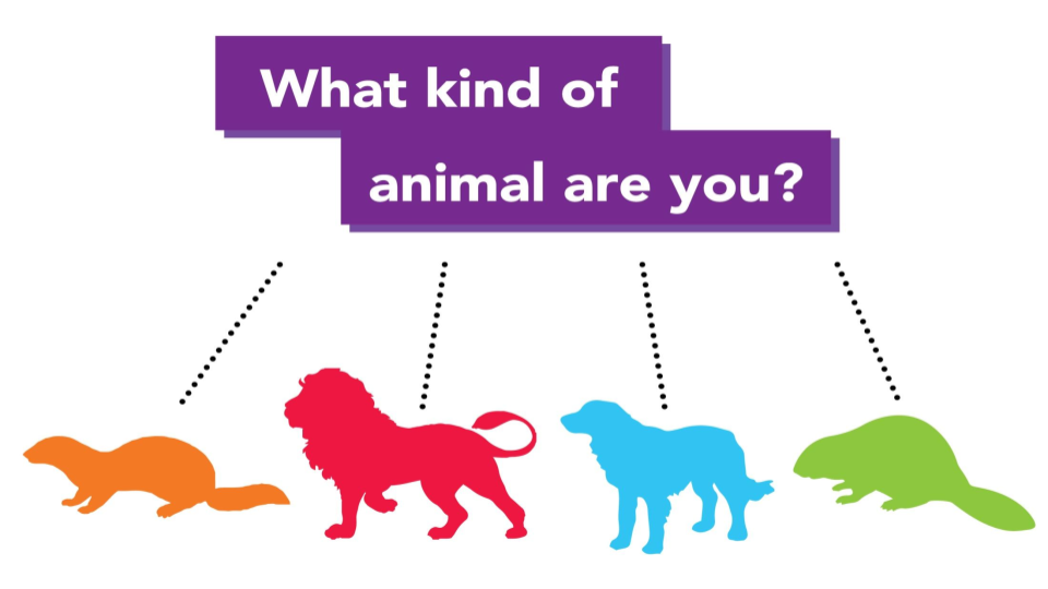 Discover Your Animal Personality with This Fun Quiz