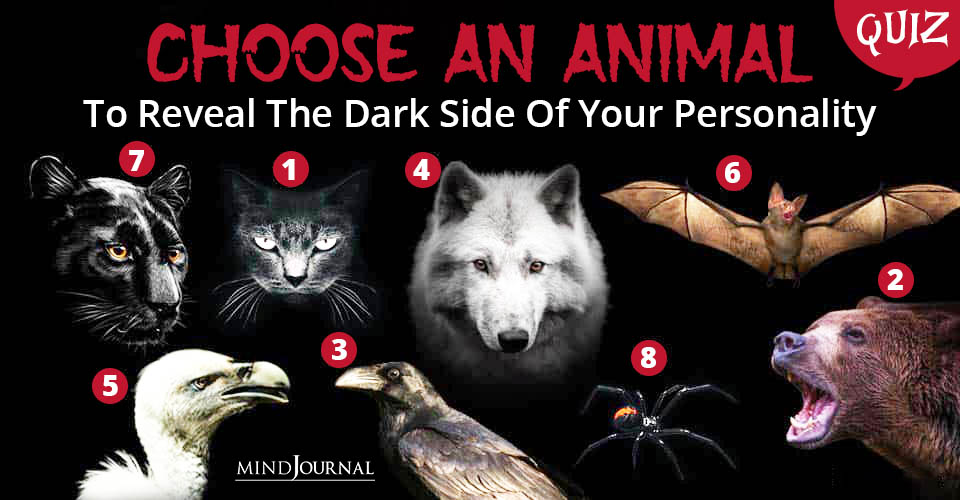 Take the Ultimate What Animal Are You Quiz and Find Your Wild Side