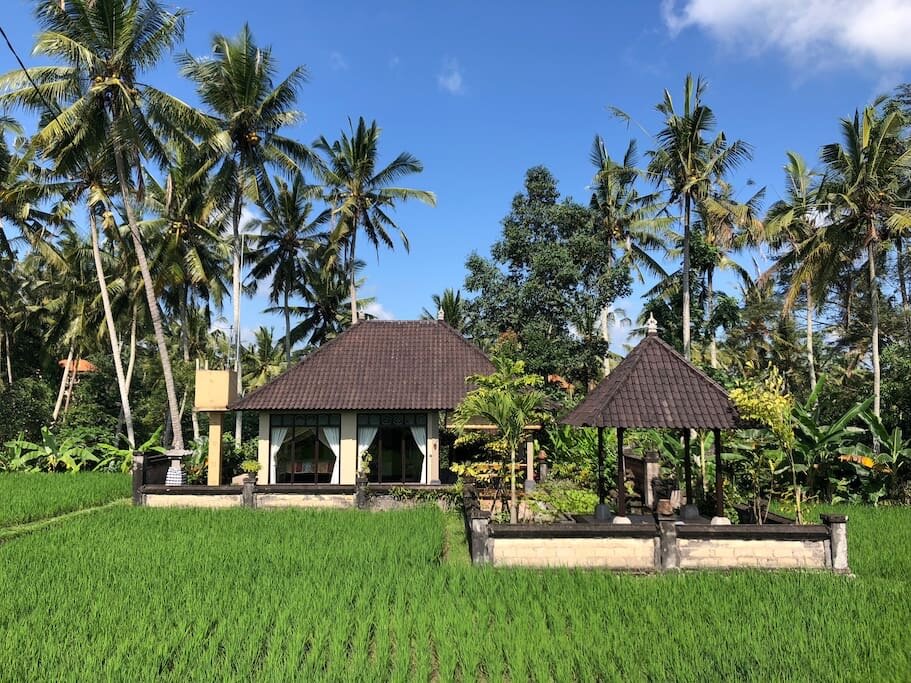 Where Was Eat Pray Love Filmed in Bali? Discover Key Locations