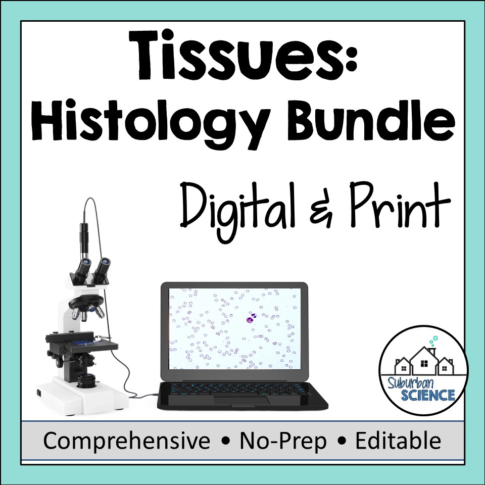 Learn Digital Histology with Fun and Engaging Quizzes for Beginners