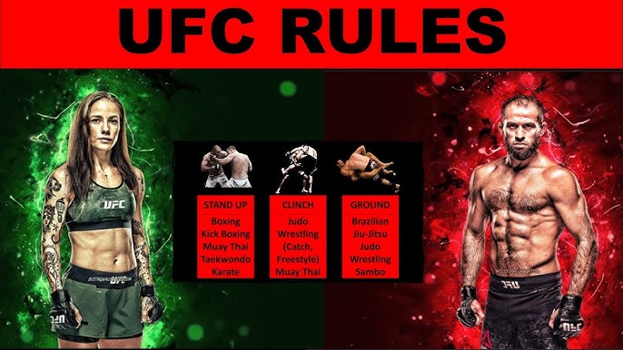 How Does ufc erome Work? A Beginners Look at the Rules and Techniques