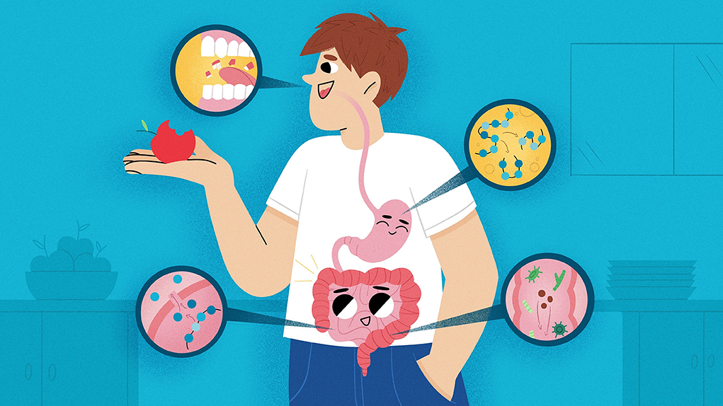 From Bite to Poo: A Digestive System Comic Journey (Understand Your Body Better)