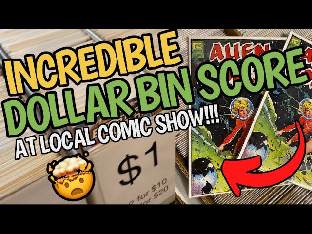 Score Big with Dollar Bin Comics: Tips for Unearthing Rare Finds and Collectibles