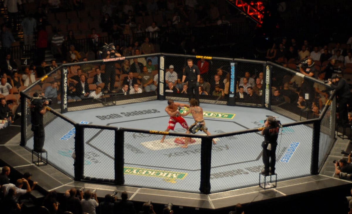 Ready for a UFC Quiz? Prove Your Octagon Expertise!