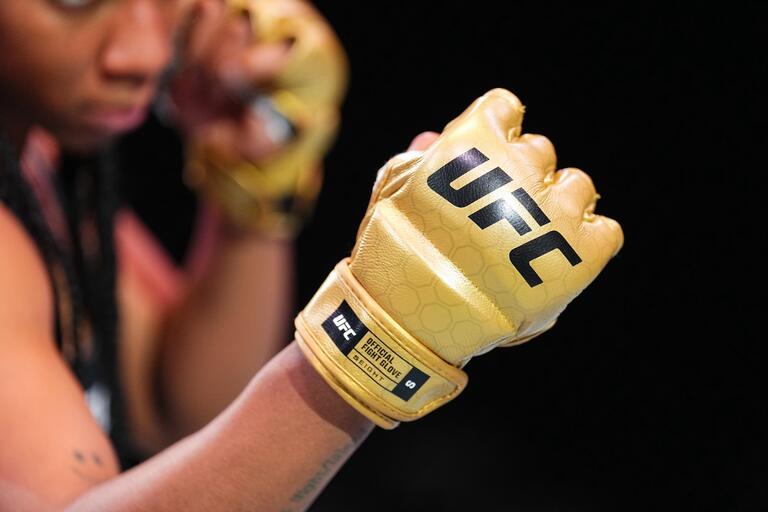 Top 5 UFC Mitts for Professional Fighters and Coaches