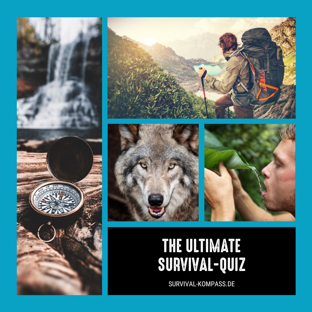 Survival Quizzes: Whats Your Score? (Find Out Now Today)