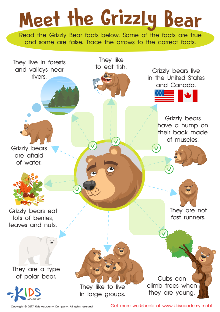 Grizzly Quizzes Online: Where to Find Them? Read This Before You Start!