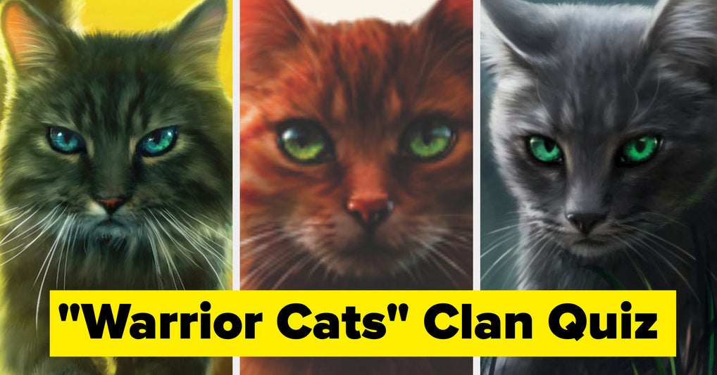 Warrior Cat Quizzes: Which Clan Do You Belong In?