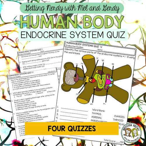 Endocrine Quizzes: Test Your Knowledge in a Fun Way!