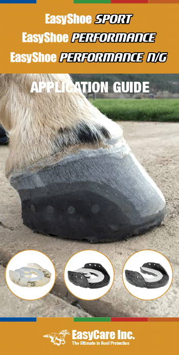 Easy shoe sport for every activity: a simple guide for beginners!