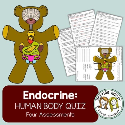 Endocrine Quizzes: Test Your Knowledge in a Fun Way!